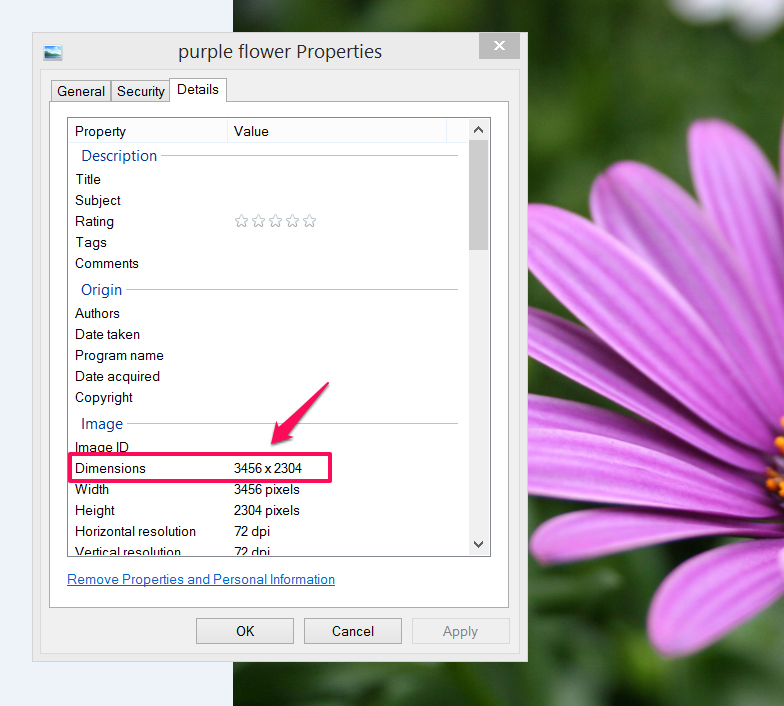 A screenshot of the photo properties option from the File menu, which includes specs of the photo on the screen, including title, subject, date taken and more.  