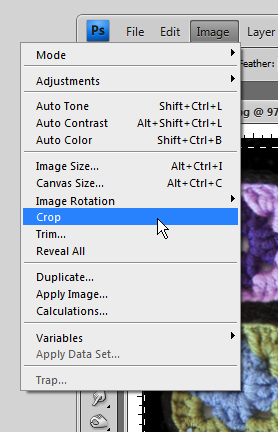 A screenshot of where the crop tool is under the Image tab in Photoshop