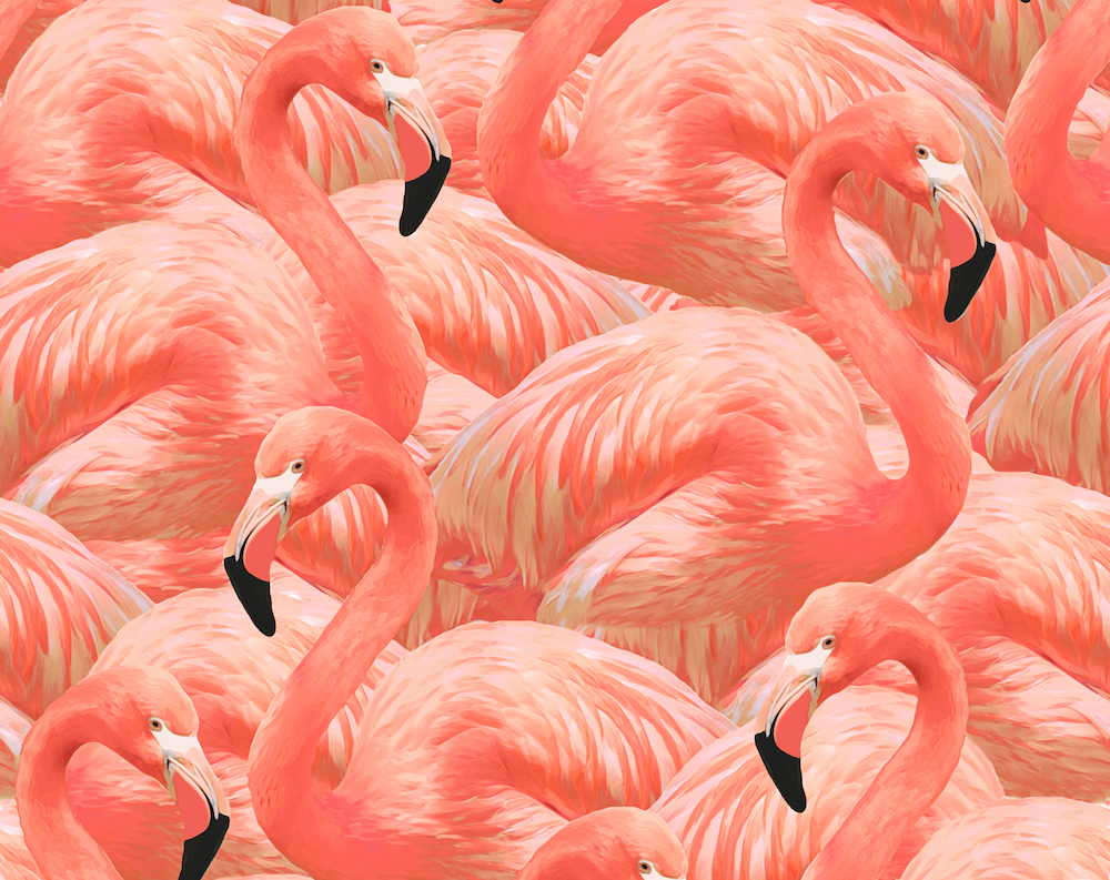 large surface design repeat of pink flamingos