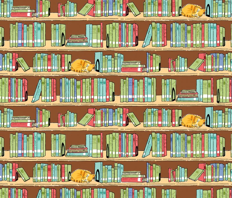 The Library Cat by vinpauld
