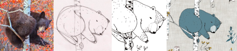 photo of a brown bear, pencil and pen sketch of the photograph, and a digital illustration