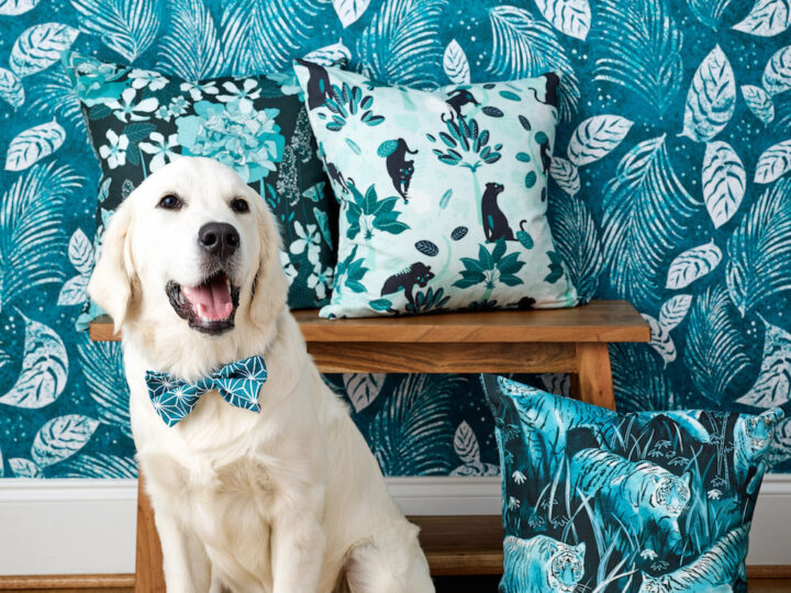 Dog in a handmade bow tie sitting in front of a teal wallpapered wall