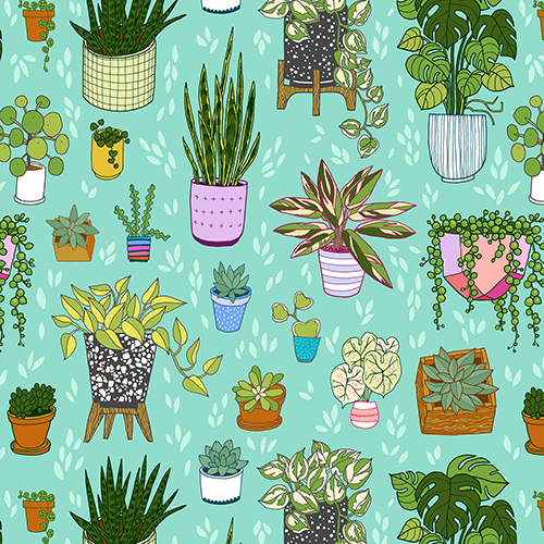 A close up of Kristin's design Houseplants on Turquoise, which features a variety of houseplants, some wide, some long, some tall, some short, in a range of planters, from small boxes to ceramic planters to terracotta pots on a turquoise background. 
