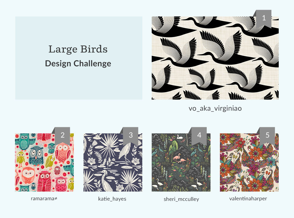 See Where You Ranked in the Large Birds Design Challenge