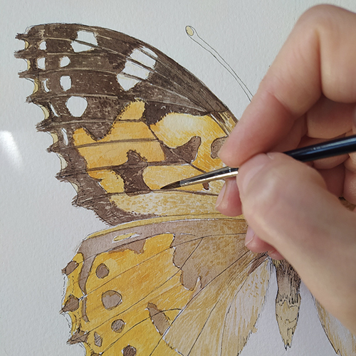 A hand paints details on a yellow-and-brown butterfly 