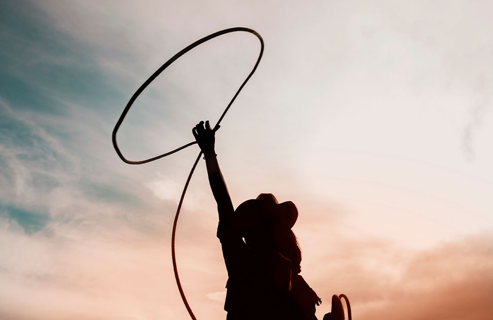 Silhouette with lasso in air
