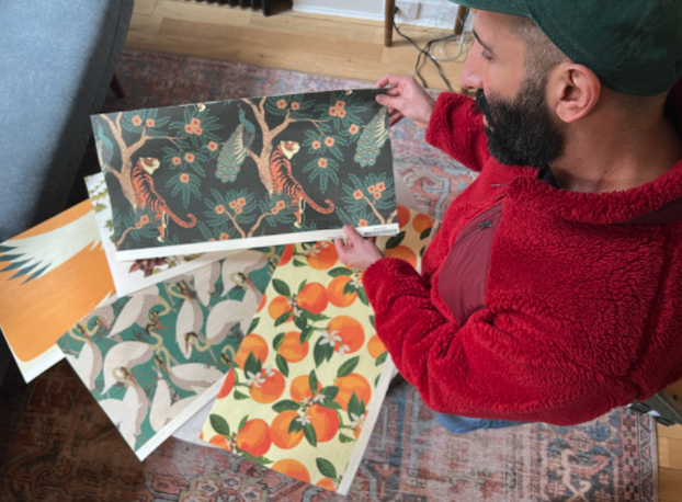 Man in a red sweater looks down at several wallpaper swatches featuring citrus fruits, cranes, tigers and peacocks in greens and oranges.