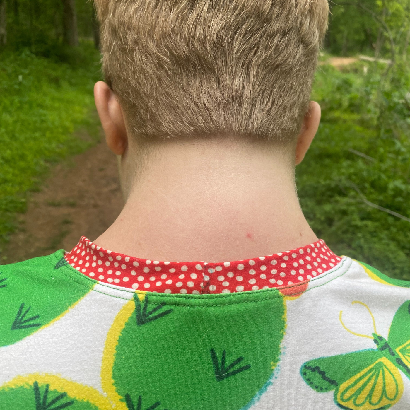 A close up of the back neckline of a dress with a white background and a repeating green cactus design. The cacti have red blossoms and green-and-yellow moths floats near some of the blossoms. The neckline has been ringed with red bias tape that has white dots.