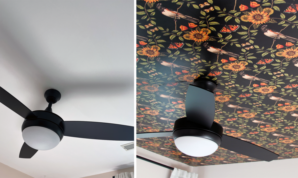 Before and after shot. Before is a blank white ceiling with black ceiling fan. After is the black ceiling wallpaper with a white, black and orange Eastern Towhee bird print. There is a black ceiling fan in the middle of the ceiling.