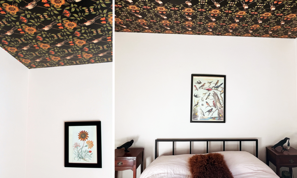 Guest bedroom with bird painting and bed is shown. Black ceiling wallpaper with a white, black and orange Eastern Towhee bird print. There is a black ceiling fan in the middle of the ceiling.