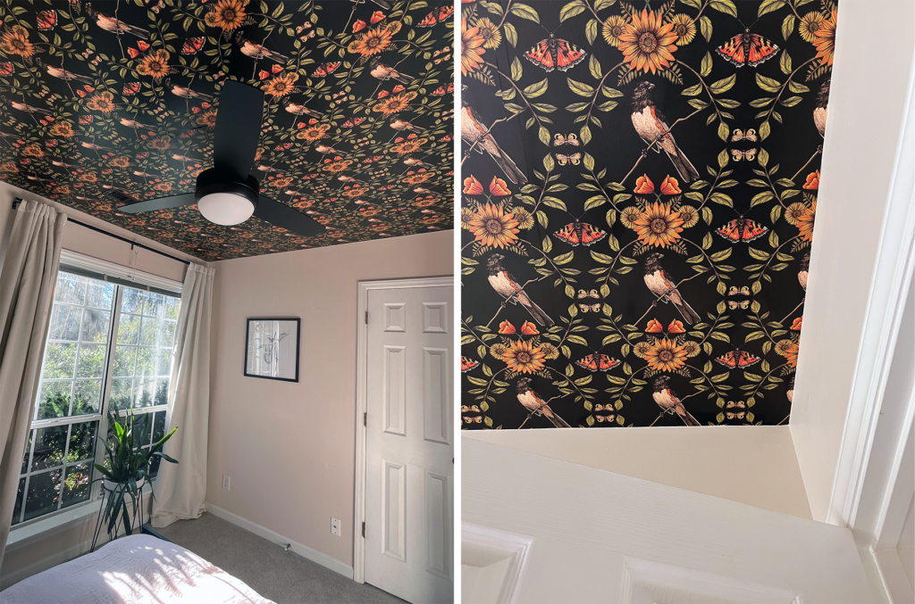 Black ceiling wallpaper with a white, black and orange Eastern Towhee bird print. There is a black ceiling fan in the middle of the ceiling. On the left is the scene with a large window shown. 