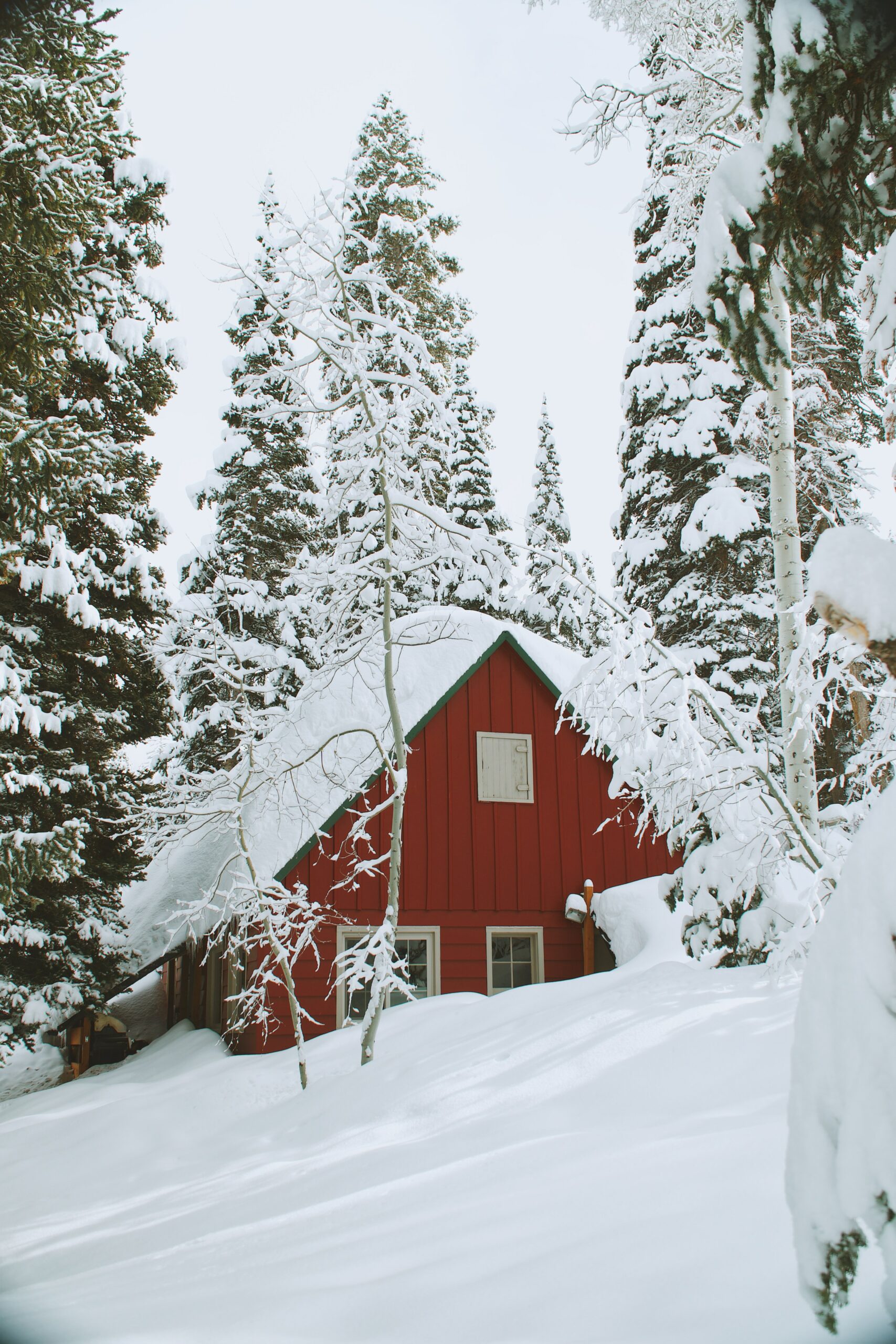 A red cabin sits amidst a snowy foreground and snowy trees growing around it.