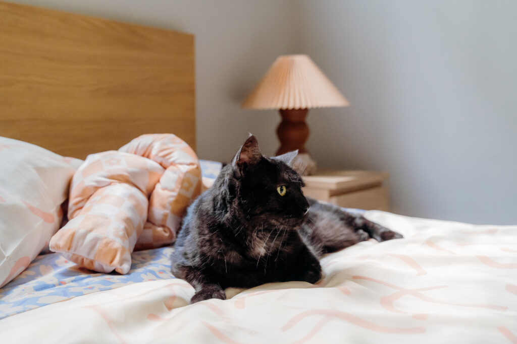 A black cat sitting on a creme and reddish brown comforter. Their right paw rests on the edges of a purple sheet with orange and white flowers. Just behind them is a checkered tan and orange knottted pillow with orange flowers on it. A regular pillow in a sham is behind that. We see the wooden headboard to the left nad a nightstand with a lamp to the right, out of focus.