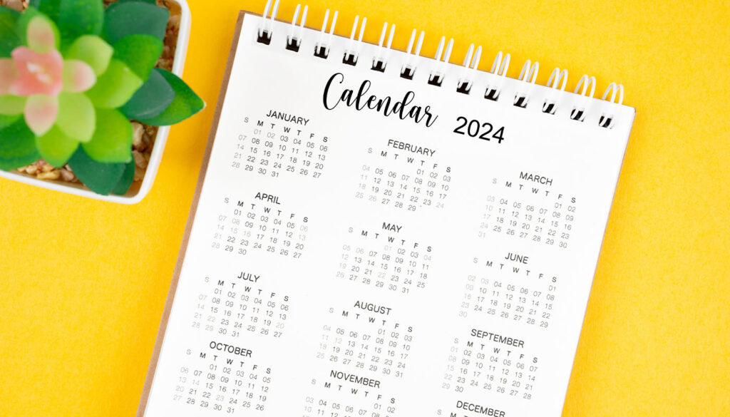 A white yearly 2024 calendar rests on a bright yellow background next to a potted succulent.