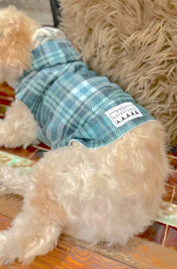 A small white dog wears a green plaid dog jacket and is snuggled on a grey blanket in front of a fireplace. The dog is facing away from the camera with its back shown.
