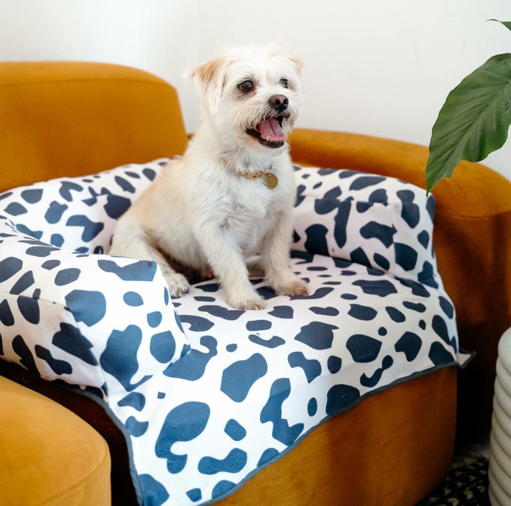 Image of a piece of fabric with three bolsters attached, one on each side and two at the back. It is sitting on a yellow couch. It is made from fabric that is white with black cow-print shapes. A small white dog is sitting on top of the bed.